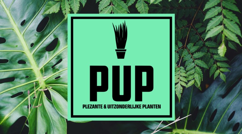 PUP Plants 