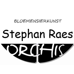 Orichis RAES STEPHAN