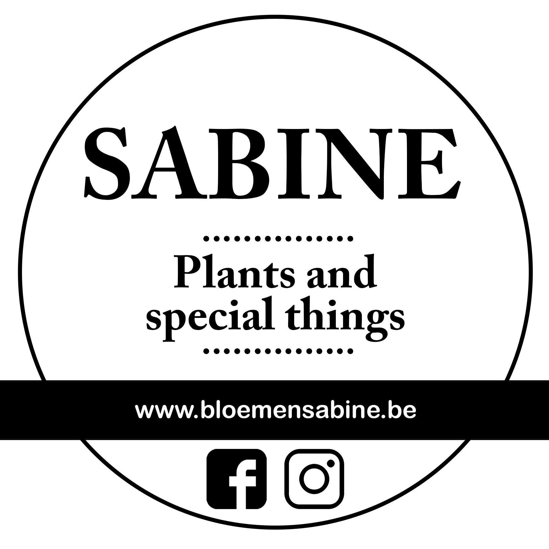 Bloemen Sabine