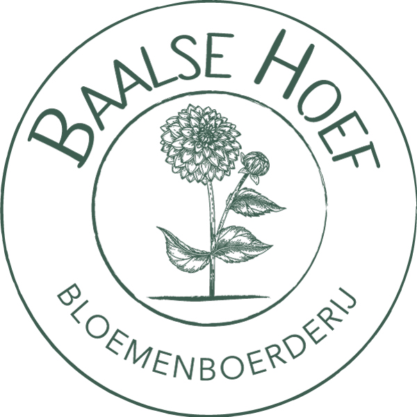 Baalse Hoef Bloemenboerderij