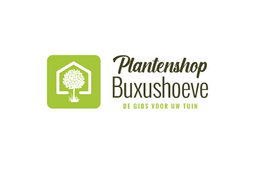 Plantenshop Buxushoeve