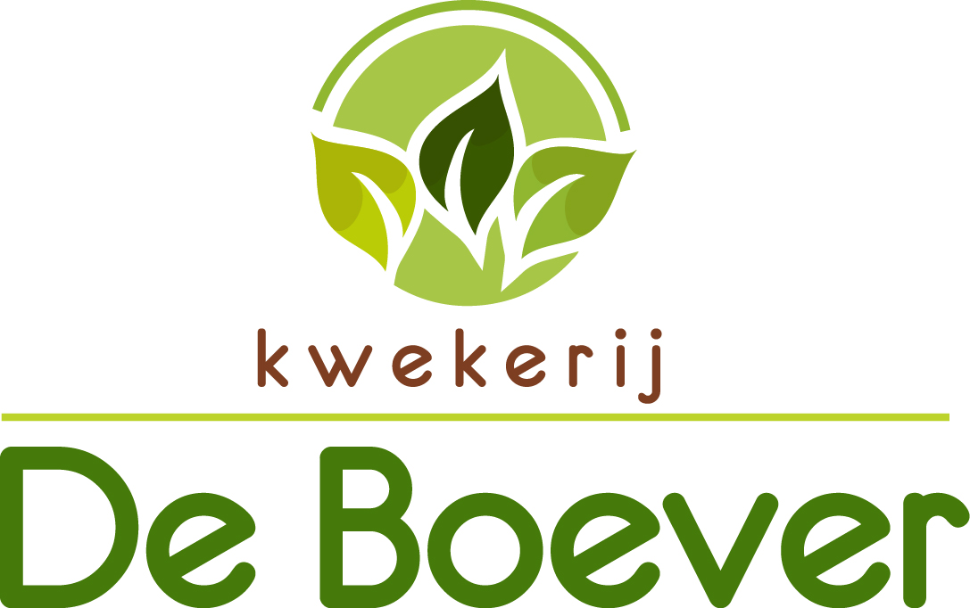 De Boever BV
