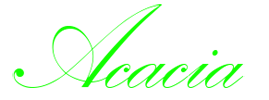 BVBA Acacia