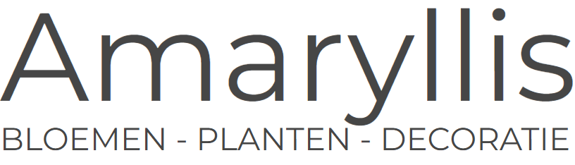 Amaryllis (Rijkevorsel)