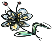 Anagallis Bloemenatelier