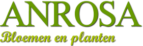 ANROSA Bloemen en Planten