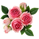 Bloemen Boudein