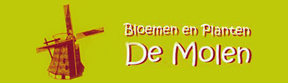 Bloemen De Molen