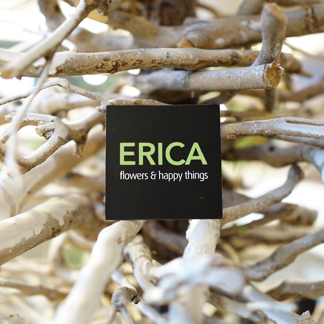 BLOEMEN ERICA