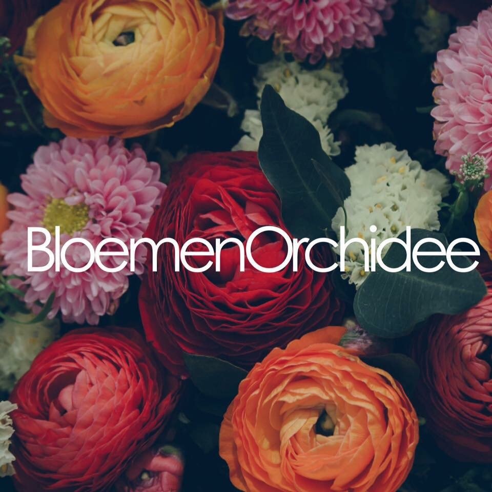 Bloemen Orchidee