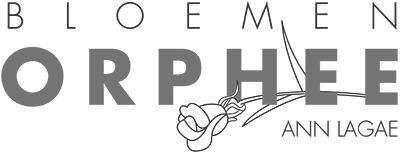 BLOEMEN ORPHEE