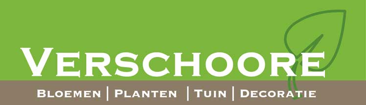 Verschoore Bloemen & Planten