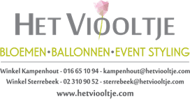 Het Viooltje