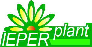 Plantencentrum Ieperplant