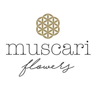 MUSCARI