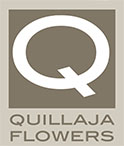 QUILLAJA FLOWERS