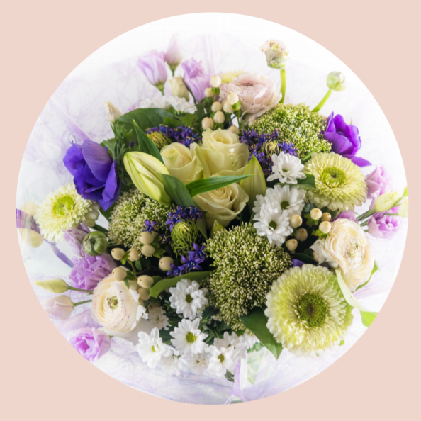 SCHUMAN FLOWERS