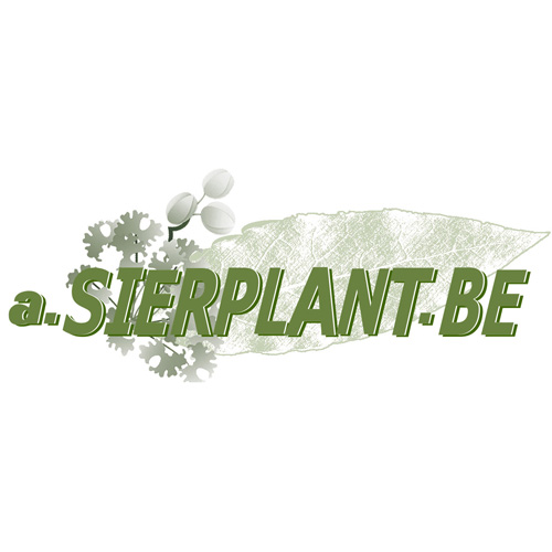 a.Sierplant.be BV
