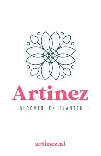 Artinez bloemen en planten