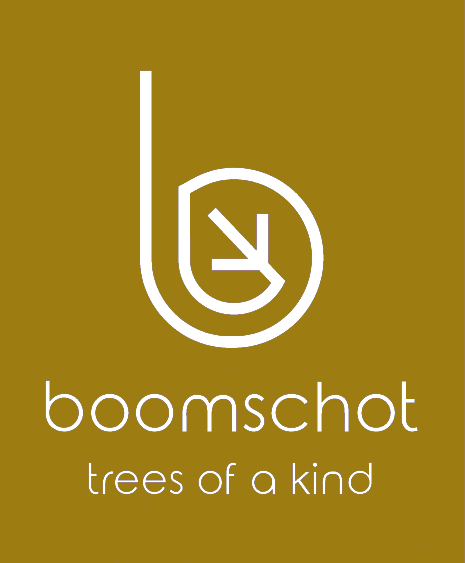 Boomschot