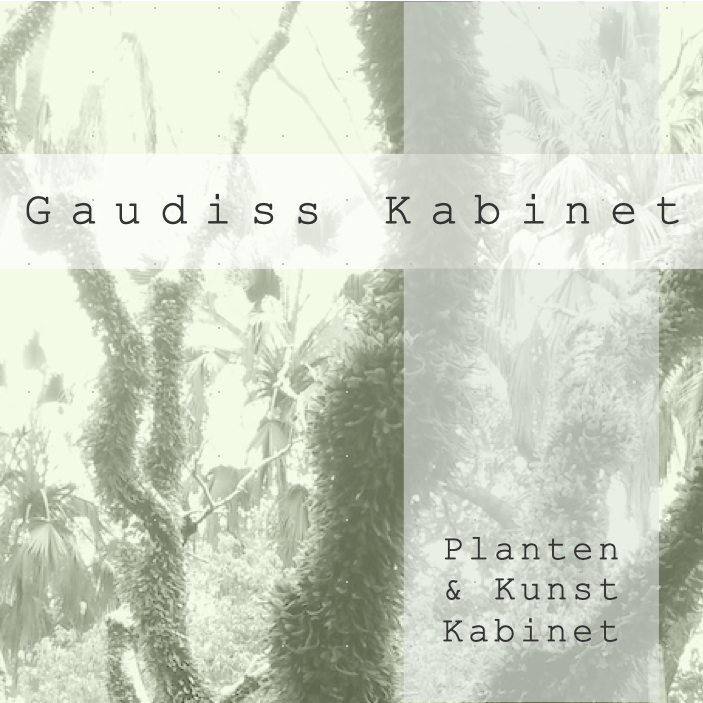 Gaudiss Kabinet
