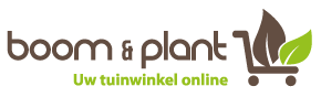 Boom en Plant