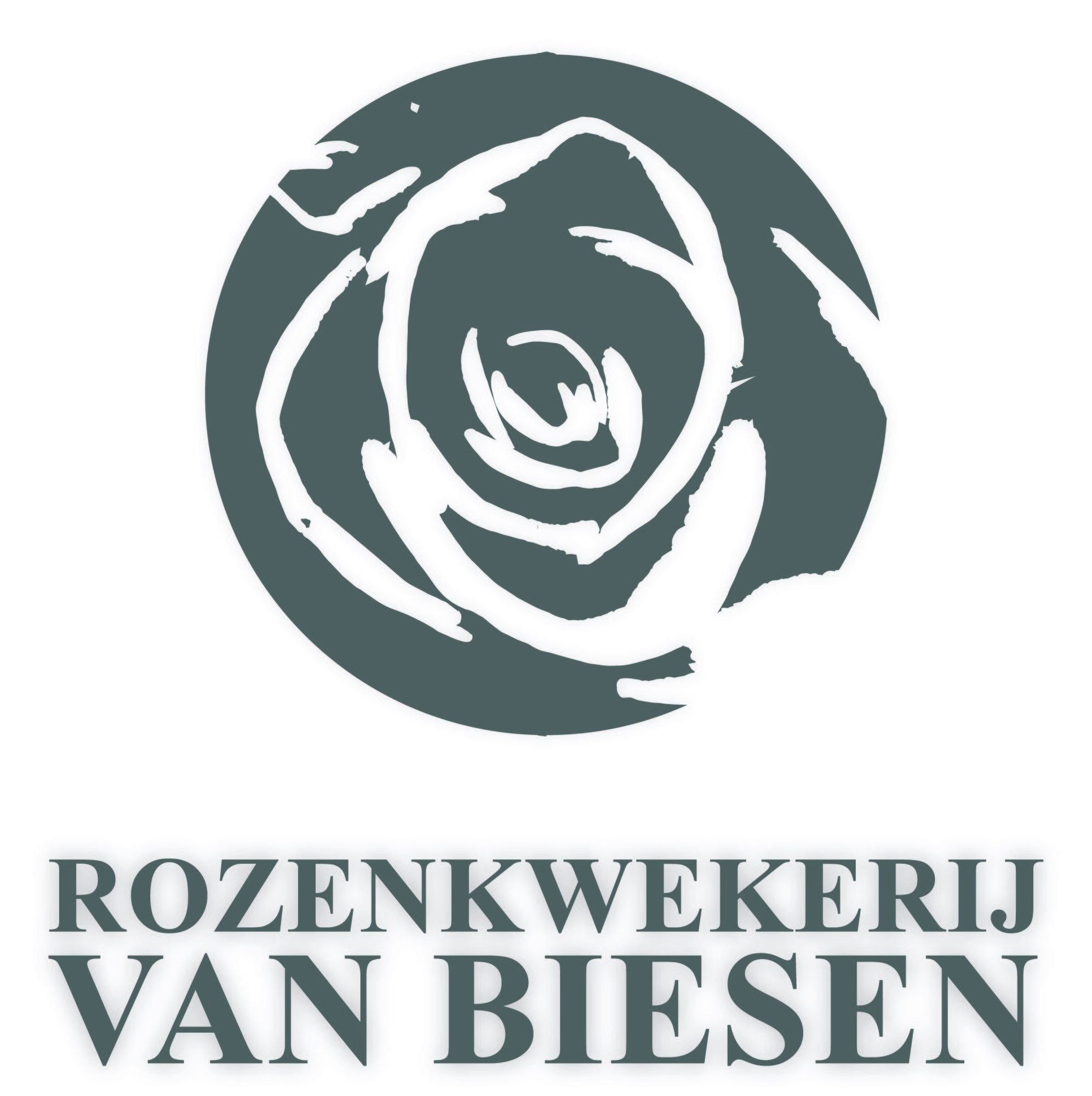 Rozen Van Biesen