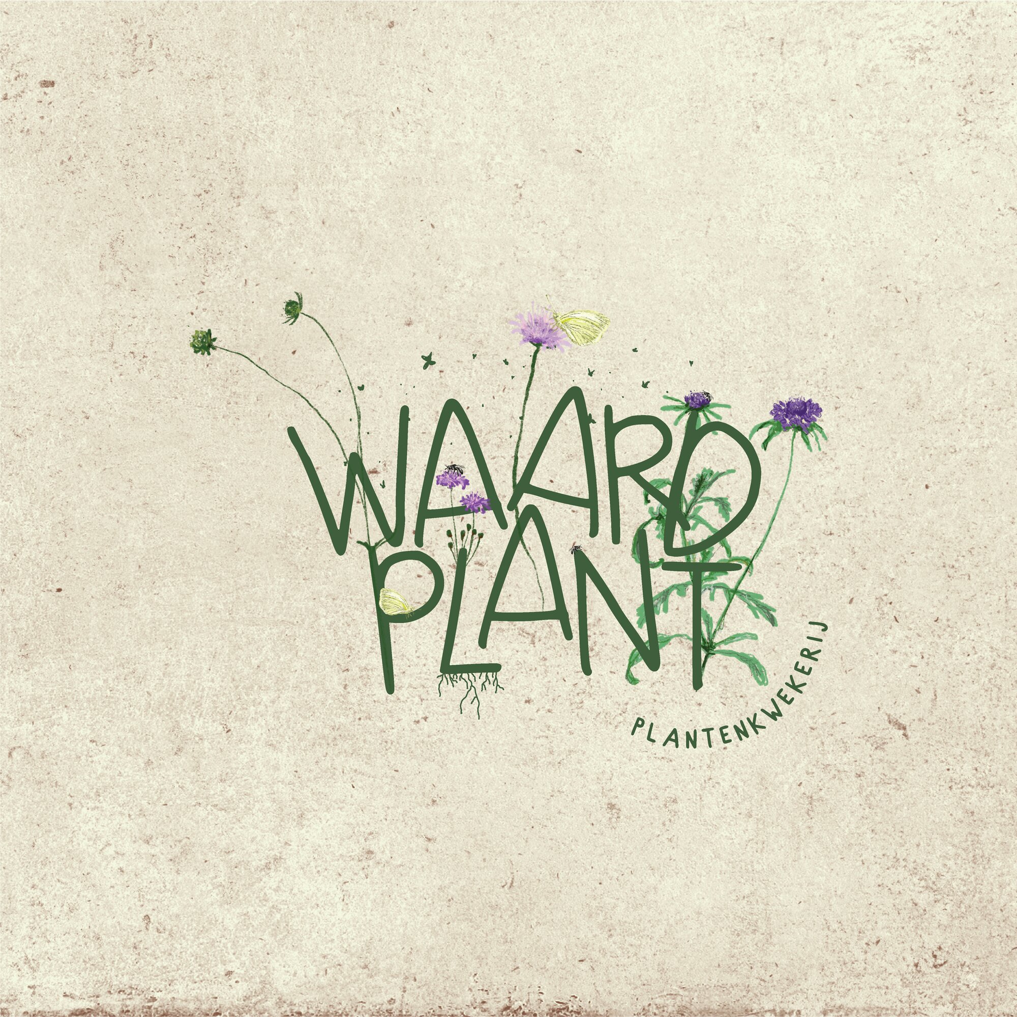 Waardplant