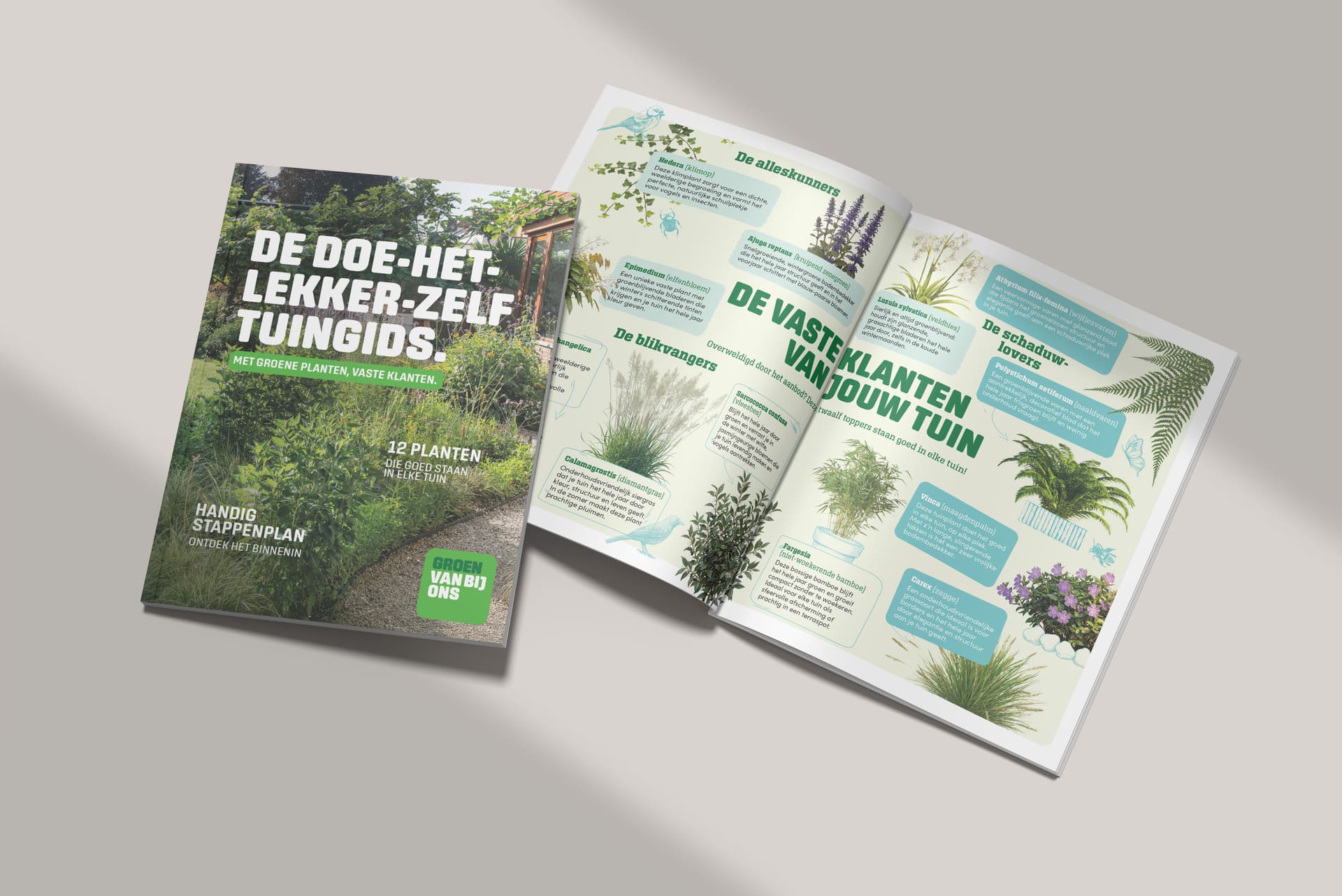 Brochurecover van ‘Groene planten, vaste klanten’ van Groen van bij ons