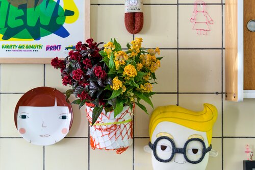 Creatief met celosia