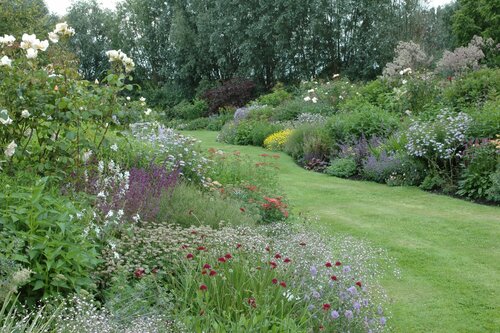 Border met vastse planten