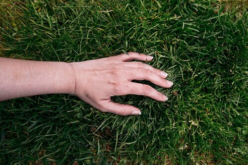 Grassoorten & zaadmengsels - Groen van bij ons