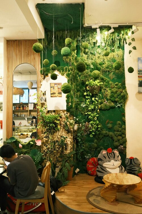 Hoe maak je een kokedama - Groen van bij ons