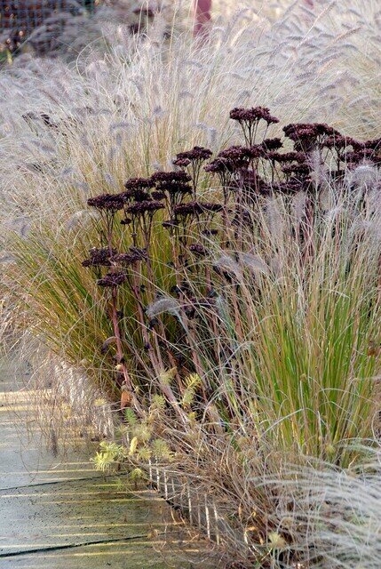 Wintertuin
