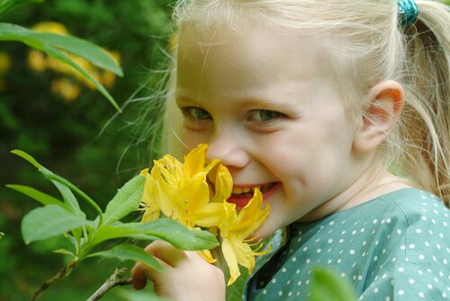 Een kindvriendelijke tuin