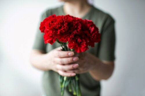 Anjers als snijbloem - Groen van bij ons