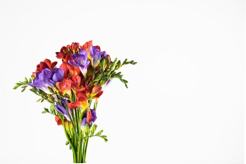 Bloemen kiezen voor boeketten - Groen van bij ons