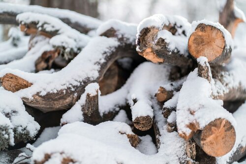 Bomen snoeien - Groen van bij ons