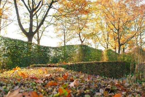 De tuin in de herfst