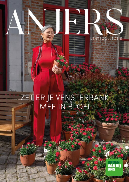 Kleur je vensterbank met Anjers