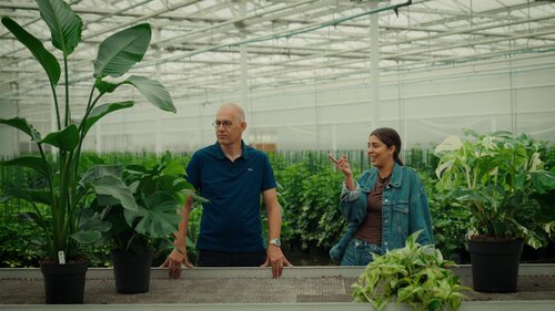 Gluren bij de buren - Sara Mouhamou - Groen van bij ons