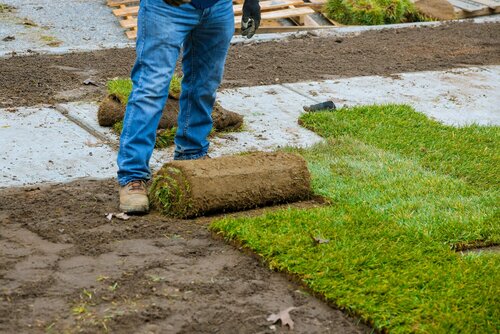 Graszoden leggen - Groen van bij ons