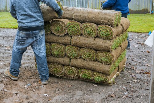 Graszoden leggen - Groen van bij ons