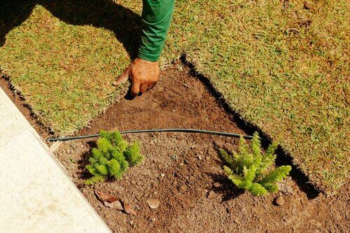 Graszoden leggen - Groen van bij ons