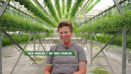 Screenshot uit aflevering over de sierteeltsector