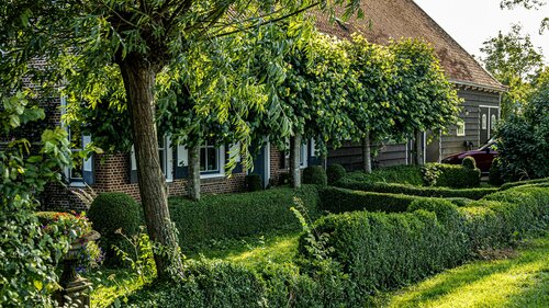 Haagplanten kiezen - Groen van bij ons