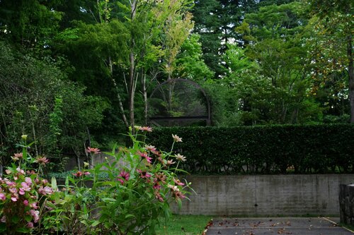 Haagplanten kiezen - Groen van bij ons