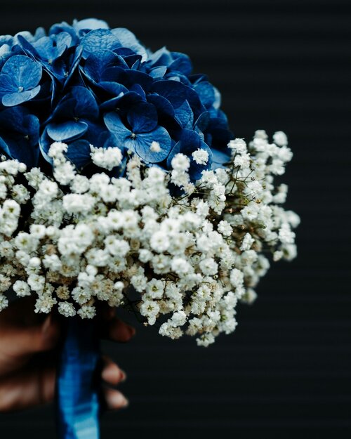 Hortensia boeket - Groen van bij ons