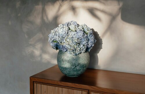 Hortensia's als snijbloem - Groen van bij ons