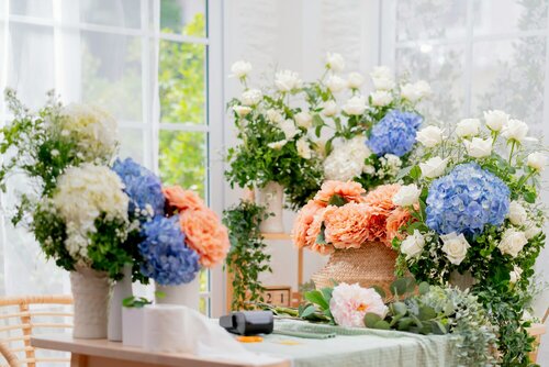 Hortensia's als snijbloem - Groen van bij ons
